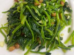 -溢心园香河肉饼总店