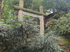 -西泠印社