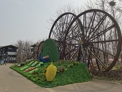 -呀路古热带植物园