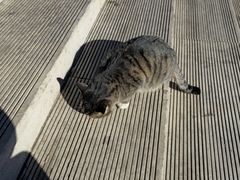 -抱犊寨风景区