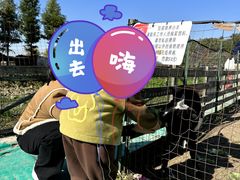 -菊园百果园