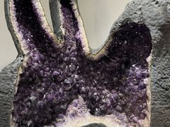 -墨尔本博物馆(Melbourne Museum)