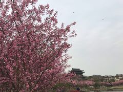 -南山风景名胜区