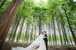 点击看大图 -太郎花子婚纱摄影艺术中心