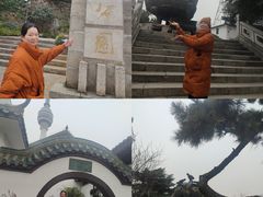 -东湖落雁景区