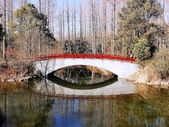 -东平国家森林公园