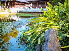 -深圳国际园林花卉博览园