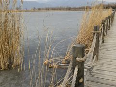 -野鸭湖国家湿地公园