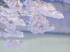 -红星桥(地铁站)