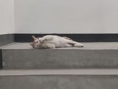 -阿凡达电玩嘉年华(柳巷店)