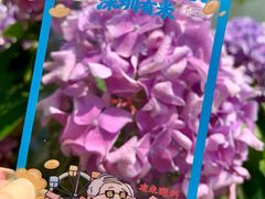 -人民公园(罗湖区)