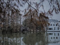 -中国科学院华南植物园
