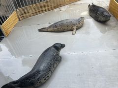 -华夏文旅海洋公园