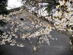 -北京积水潭医院-停车场