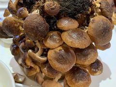 原汁烤菇棒-幸福蔬·时尚蔬食(黄山湖公园店)