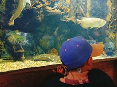 -华夏文旅海洋公园