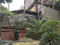 -新概念来凤鱼(璧山店)