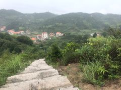 -军营村