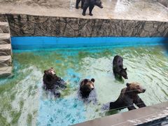 -南京汤山紫清湖生态旅游温泉度假区