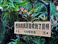 -南屏步行街