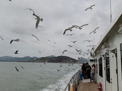 -海驴岛(荣成市)