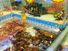 -大锅强·蒸海鲜青岛菜(金沙滩店)