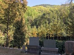 -仙霞关景区