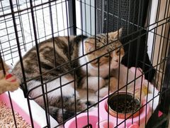 -倦勤咖啡(中山南路店)