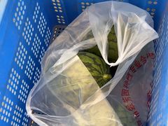 -庞各庄翠芳园西瓜蔬菜基地采摘园