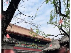 -故宫博物院(故宫)