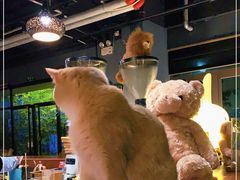 -咖法森林·咖啡  酒吧(天河店)