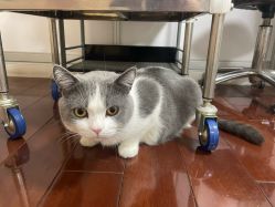 点击看大图 -ChuLian初莲日式美甲美睫