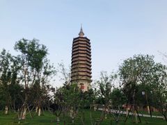 -西海子公园