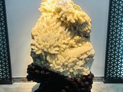 -游龙石文化科普馆