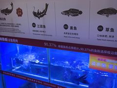 -彼酷哩活鱼现烤(中原万达店)