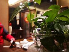 -御苑精品川菜馆(锦江店)