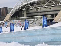 -沈阳奥体冰雪嘉年华