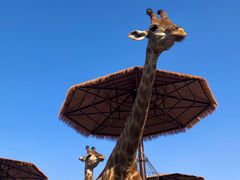 -济南野生动物世界