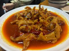 -红辣椒八爪鱼特色韩国料理