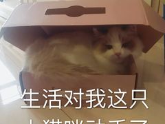 -开元商城(西旺店)