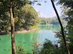 -广州市流溪河国家森林公园