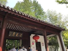 -汇龙潭