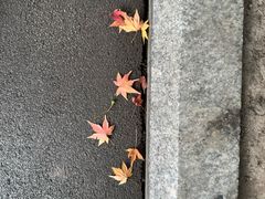 -西郊壹号