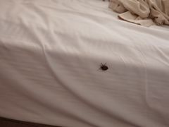 -天目湖御水温泉·度假酒店