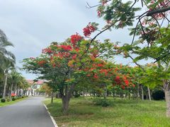 -三亚西岛海洋文化旅游区