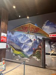 -飞览天下沉浸式飞行体验(北京旗舰店)