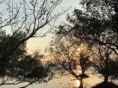 -宝安西湾红树林湿地公园