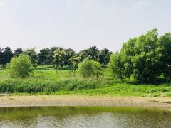 -蒲河岛湿地公园