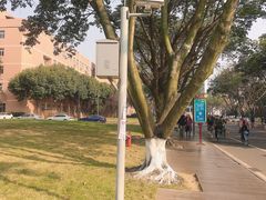 -四川大学(望江校区)