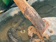 -上海大自然野生昆虫馆(东方明珠·爬宠昆虫探索中心)